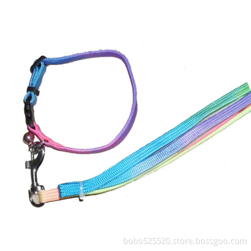cheap pet collar and leash